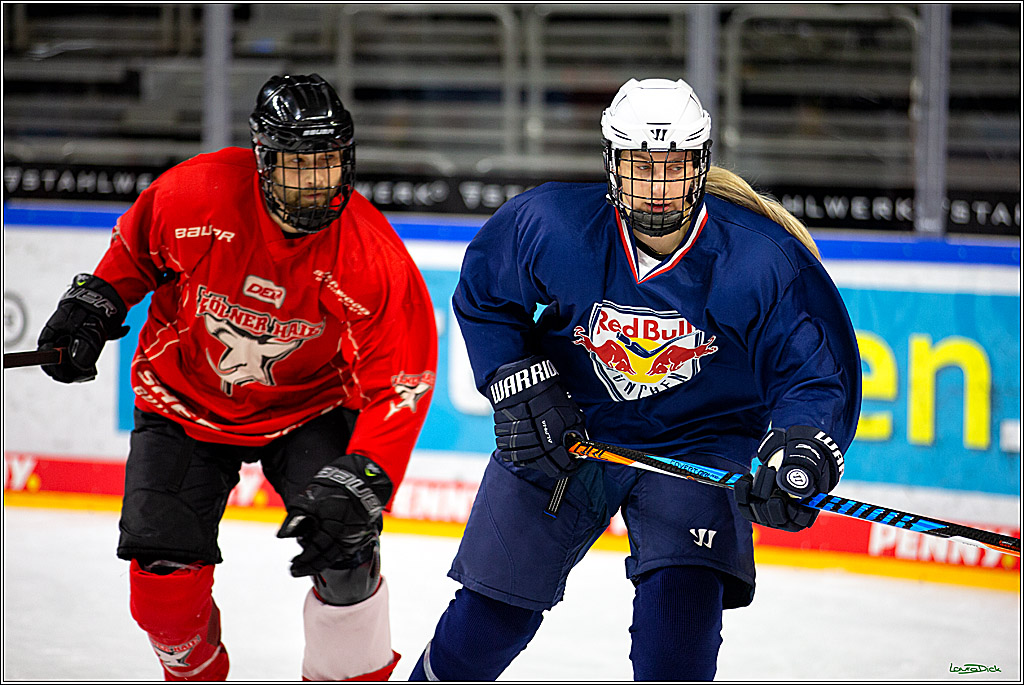 PENNY DEL; Koelner Haie- Red BUll Muenchen Sponsorenspiel; Koeln, 08.11.2022